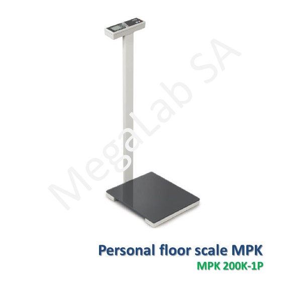 Personal floor scale